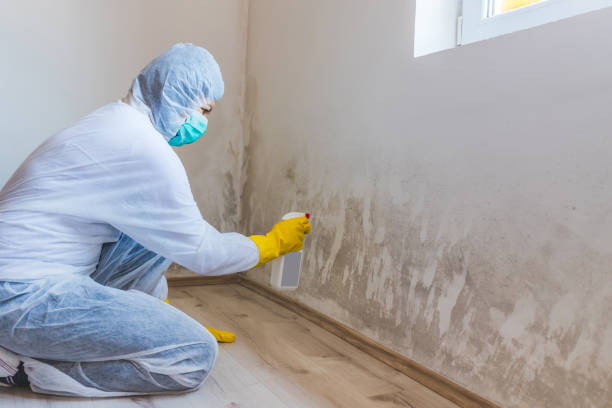 Mold inspector in North Babylon performing thermal imaging